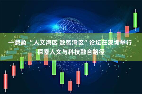 一鼎盈 “人文湾区 数智湾区”论坛在深圳举行 探索人文与科技融合路径