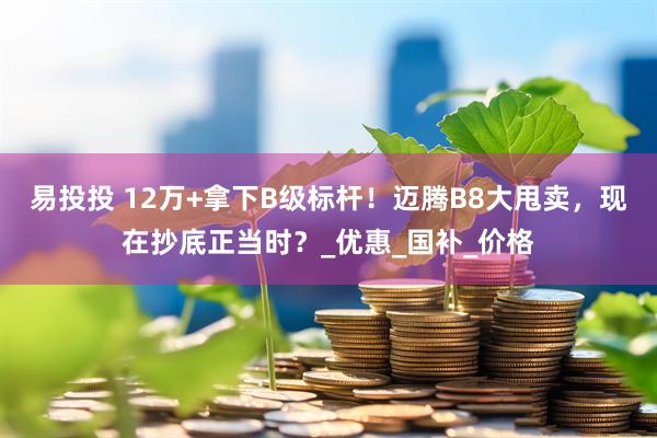 易投投 12万+拿下B级标杆！迈腾B8大甩卖，现在抄底正当时？_优惠_国补_价格