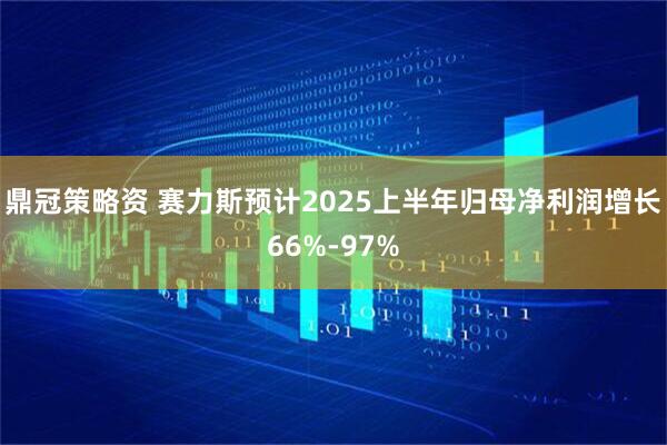 鼎冠策略资 赛力斯预计2025上半年归母净利润增长66%-97%