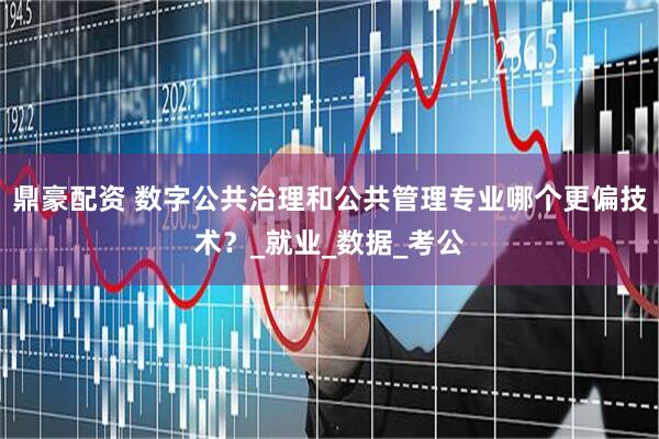 鼎豪配资 数字公共治理和公共管理专业哪个更偏技术？_就业_数据_考公