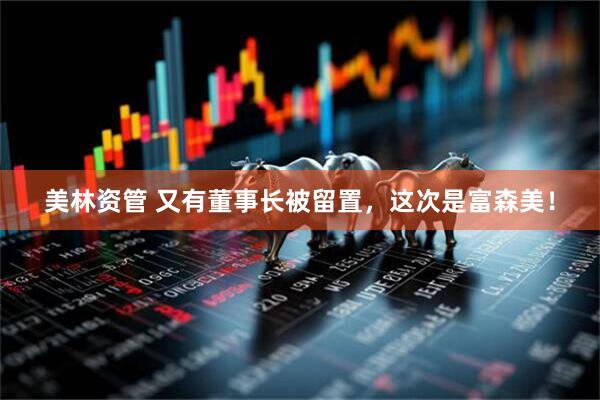 美林资管 又有董事长被留置，这次是富森美！