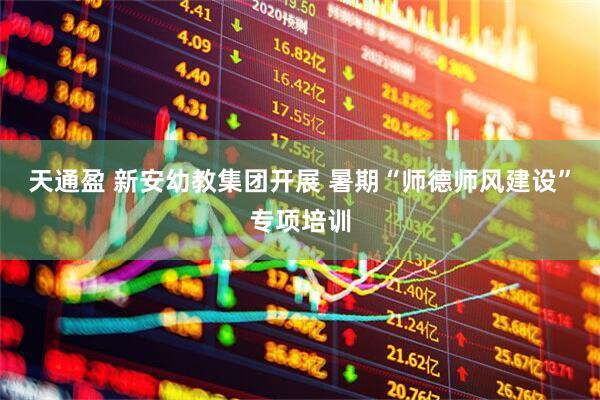 天通盈 新安幼教集团开展 暑期“师德师风建设”专项培训