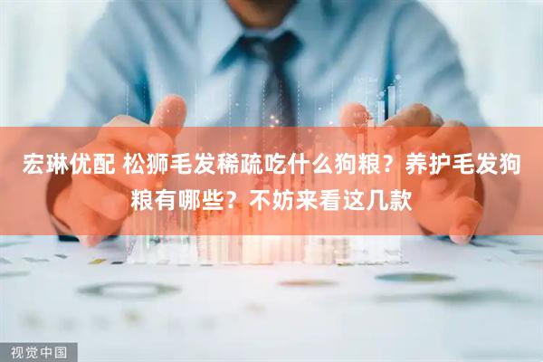 宏琳优配 松狮毛发稀疏吃什么狗粮？养护毛发狗粮有哪些？不妨来看这几款