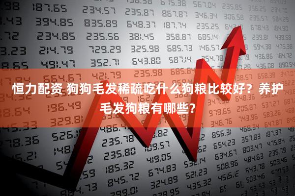 恒力配资 狗狗毛发稀疏吃什么狗粮比较好？养护毛发狗粮有哪些？