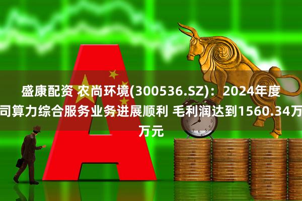 盛康配资 农尚环境(300536.SZ)：2024年度公司算力综合服务业务进展顺利 毛利润达到1560.34万元