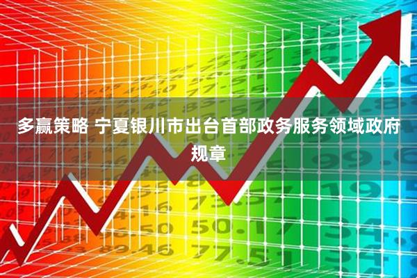 多赢策略 宁夏银川市出台首部政务服务领域政府规章